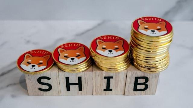 shiba-inu